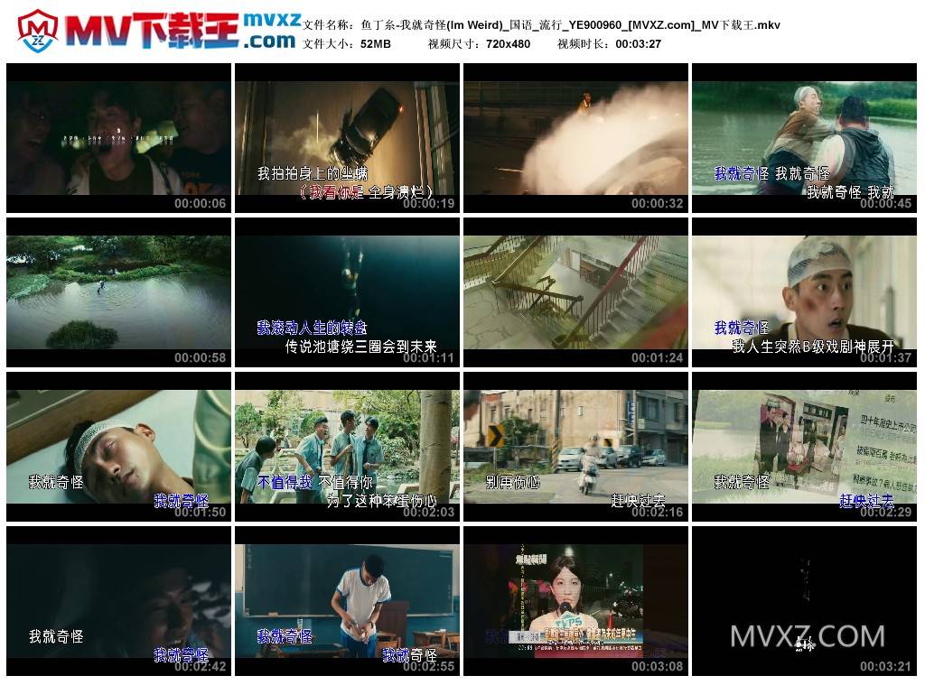 鱼丁糸-我就奇怪(Im Weird)_国语_流行_YE900960